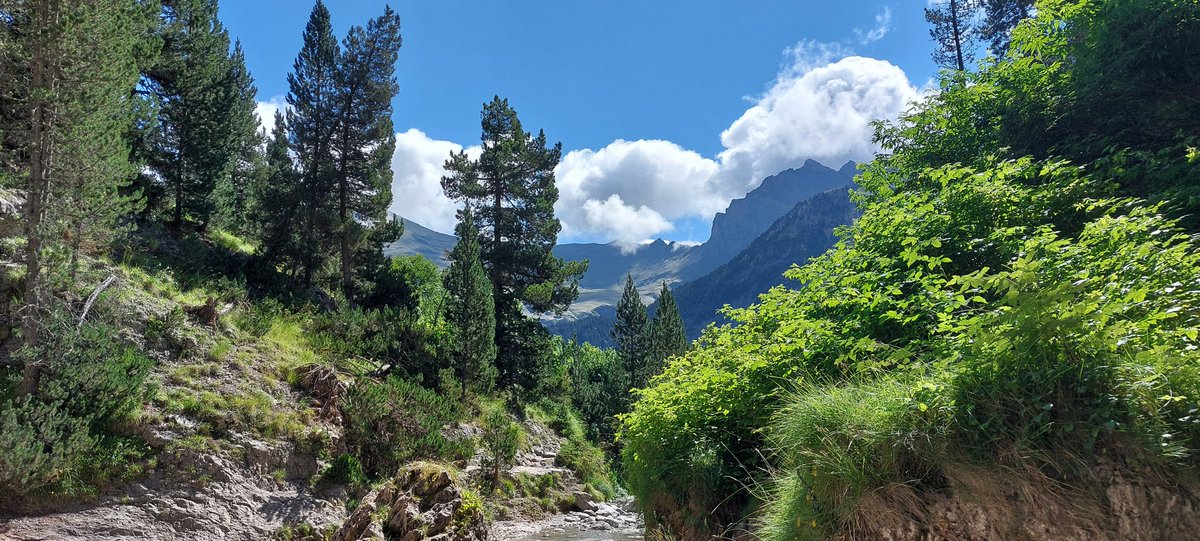 HrpPhils's tweet photo. Todays holiday #climateHike was an easy hike of about 10k taking us up to Plateau de Bellevue at 1708m  

Beautiful views of the Gavarnie valley

Some Griffons, Crag Martins and Choughs https://t.co/ByhzxAxfv0