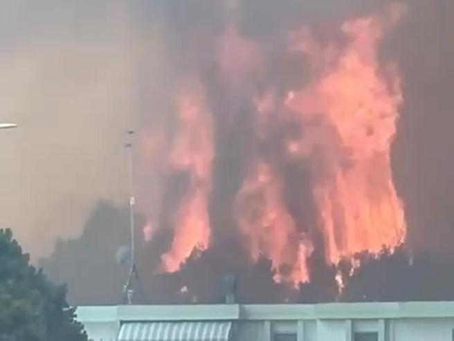 RobertoIngross2's tweet photo. La marina di Lecce è in fiamme con ordine di evacuazione. Palermo brucia.
Mentre giornali vergognosi parlano di pseudo-censure e stato di pandemia, negando il problema climatico e la sua causa e aizzando gruppi di disagiati e minus habens con laurea in tuttologia presa al bar. https://t.co/osNXAwe3tO