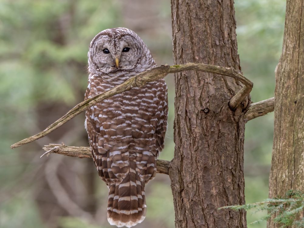DeirdreReid's tweet photo. Association Brain Food Weekly: free educational events &amp; resources from @Propel_Now @_Fionta @NonDuesAPalooza @MatrixGroup @Fonteva &amp; more https://t.co/x0mAA78njO #assnchat #eventprofs #associations #associationmanagement https://t.co/ZynmIfO479
