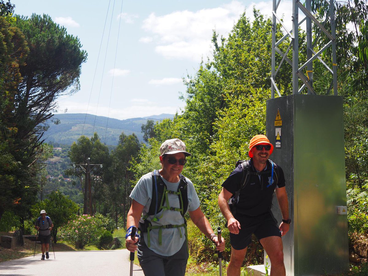 Ryan Shelton tweet media