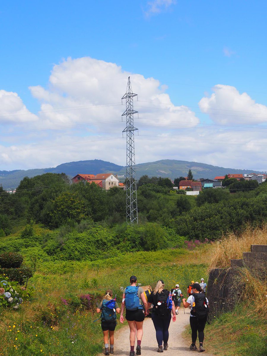 Ryan Shelton tweet media