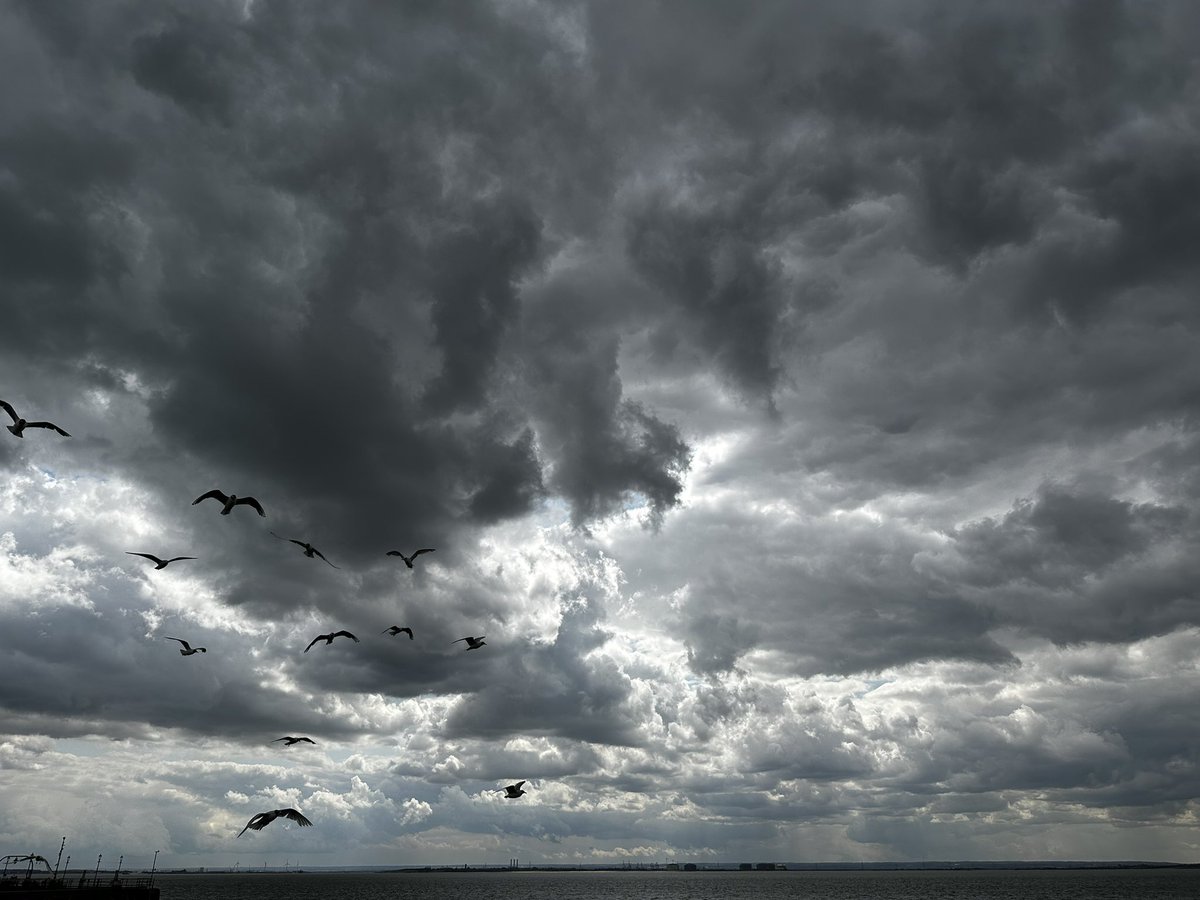 TheForgeofMars's tweet image. Went for a stroll along the pier with the boy, pretty atmospheric with all the cloud cover today. 😃

#Southend #SouthendPier #Seaside #AmatuerPhotography