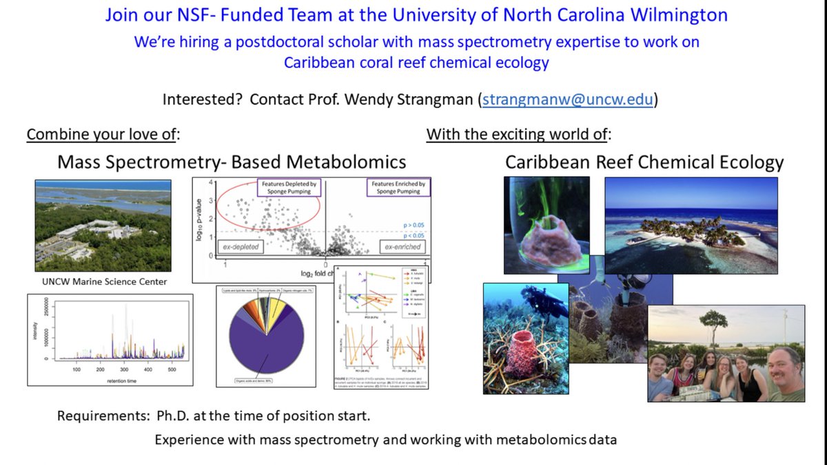WS_DISCOveryNP's tweet image. Interested in joining our fun and collaborative NSF-Funded Carribean Coral Reef Ecology team as a Postdoctoral Scholar at the UNC Wilmington?  If you have a background in mass spectrometry / metabolomics, come say hi at  #ASP2023, or DM me. Please spread the word!!