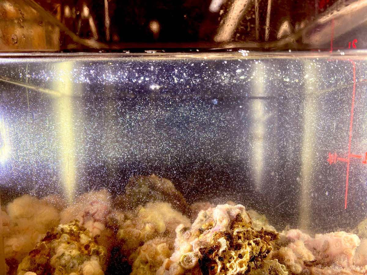 Dr. Koty Sharp tweet media