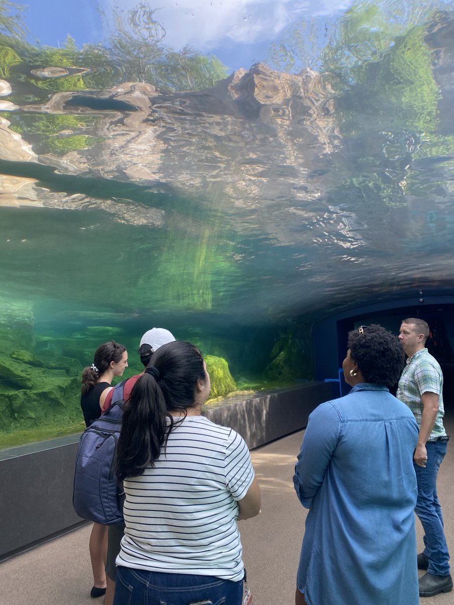 GreenHoustonTx tweet media