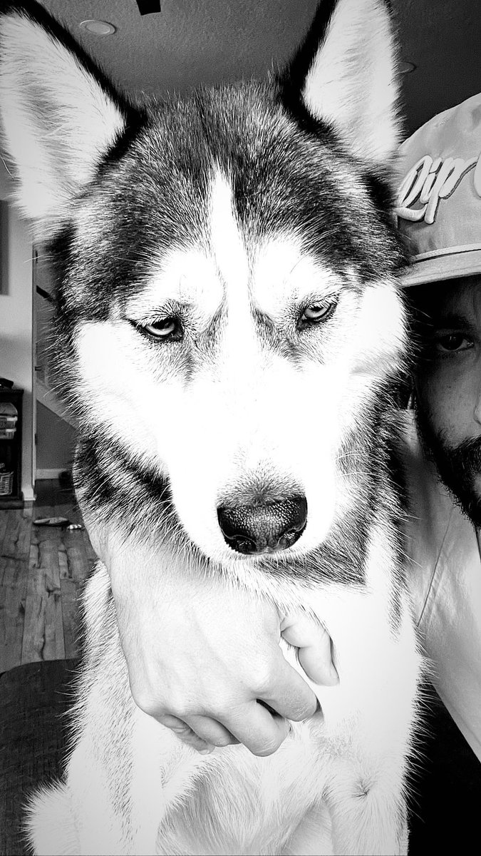 hotel pools tweet media