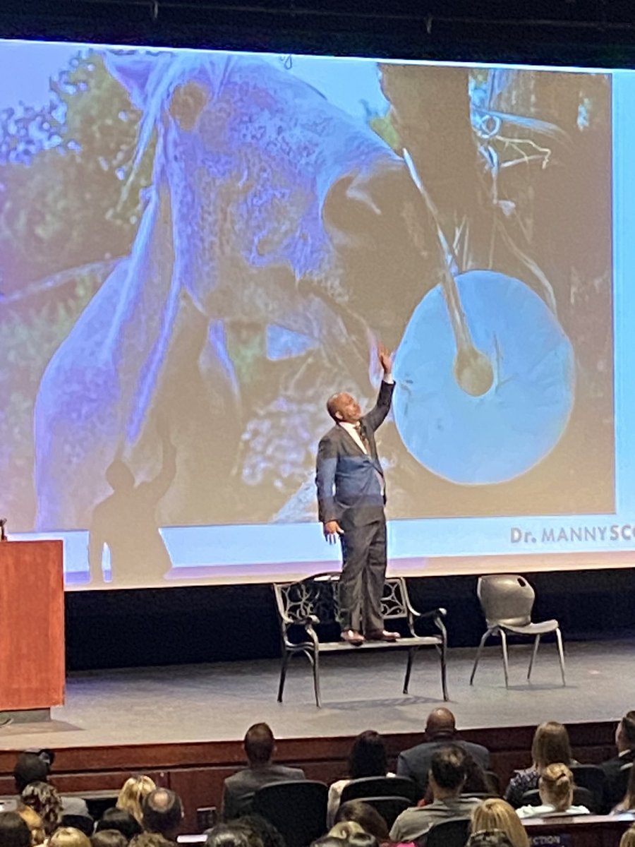 Vicki L. Harwell tweet media