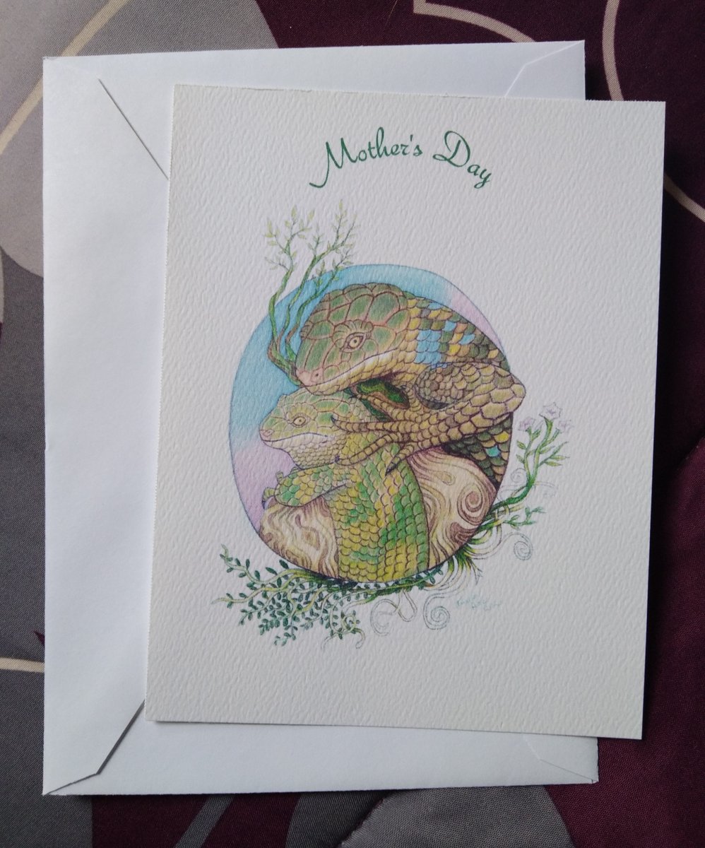 Mother's Day cards are printed, and will be listed shortly in my Etsy shop. #mothersday #greetingcards #monkeytailedskinks #solomonislandskink #reptileart #reptilelove #reptilekeeper #colorpencilart #colorpencildrawing