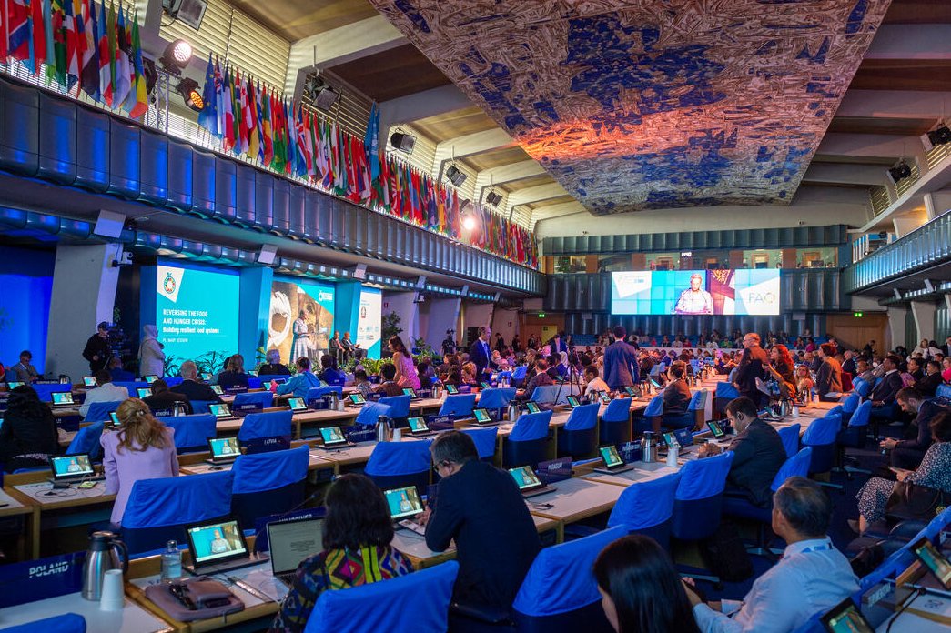 Cindy McCain tweet media