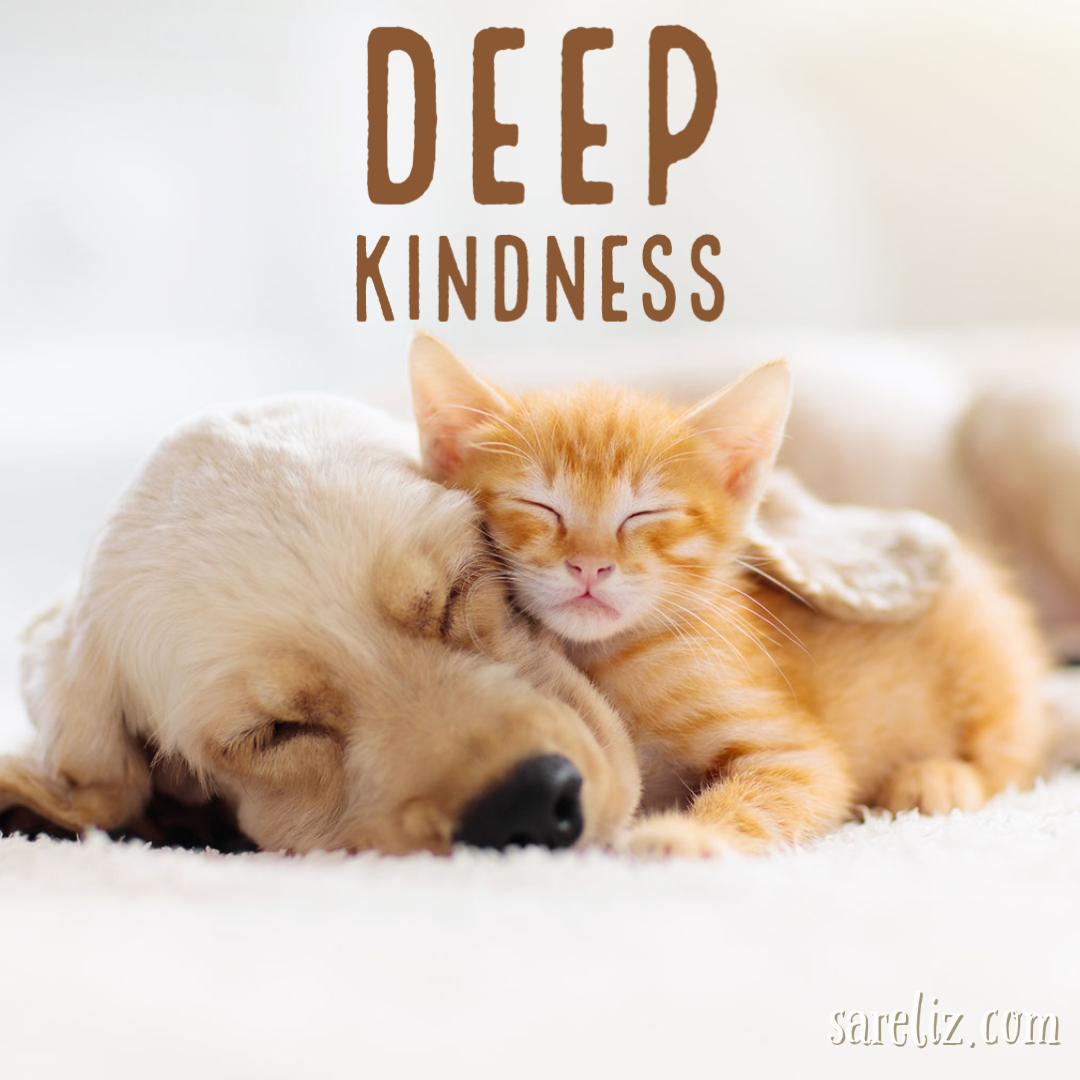 sareliz's tweet photo. Are you as kind to yourself as you are to your best friend?

https://t.co/2GcUY6k8Pc https://t.co/FOMKEFhUxB