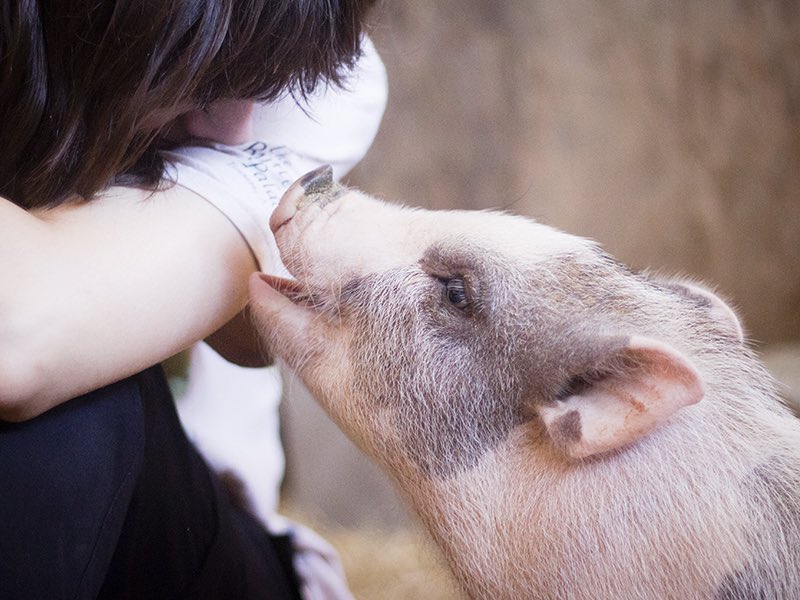 Green Care Lab tweet media