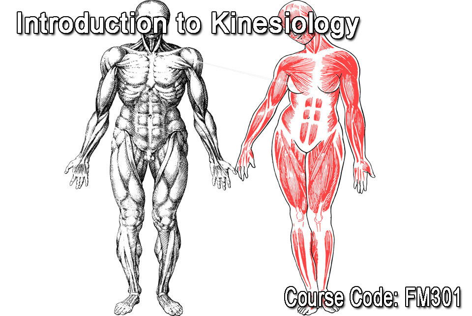Introduction to Kinesiology Course Code: FM301
Provides overview of the field of kinesiology in the form of an introductory course. Exposes students to the history of the field, and its emphasis on evidence based knowledge. 
v4.oasissis.com/cgi-bin/v5/pub…