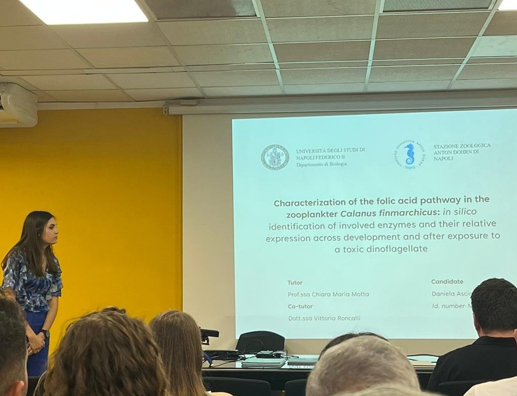 DanielaAscione_'s tweet photo. Yesterday I discussed my master’s thesis on the study of folic acid pathway in #copepods Calanus finmarchicus. I'm so happy to have reached this goal, and infinitely grateful to my mentor @VRoncalli who followed me during the thesis.🎓🧬🎉
#marinebiology #SznDohrn #unina https://t.co/S3p8wwmy7X
