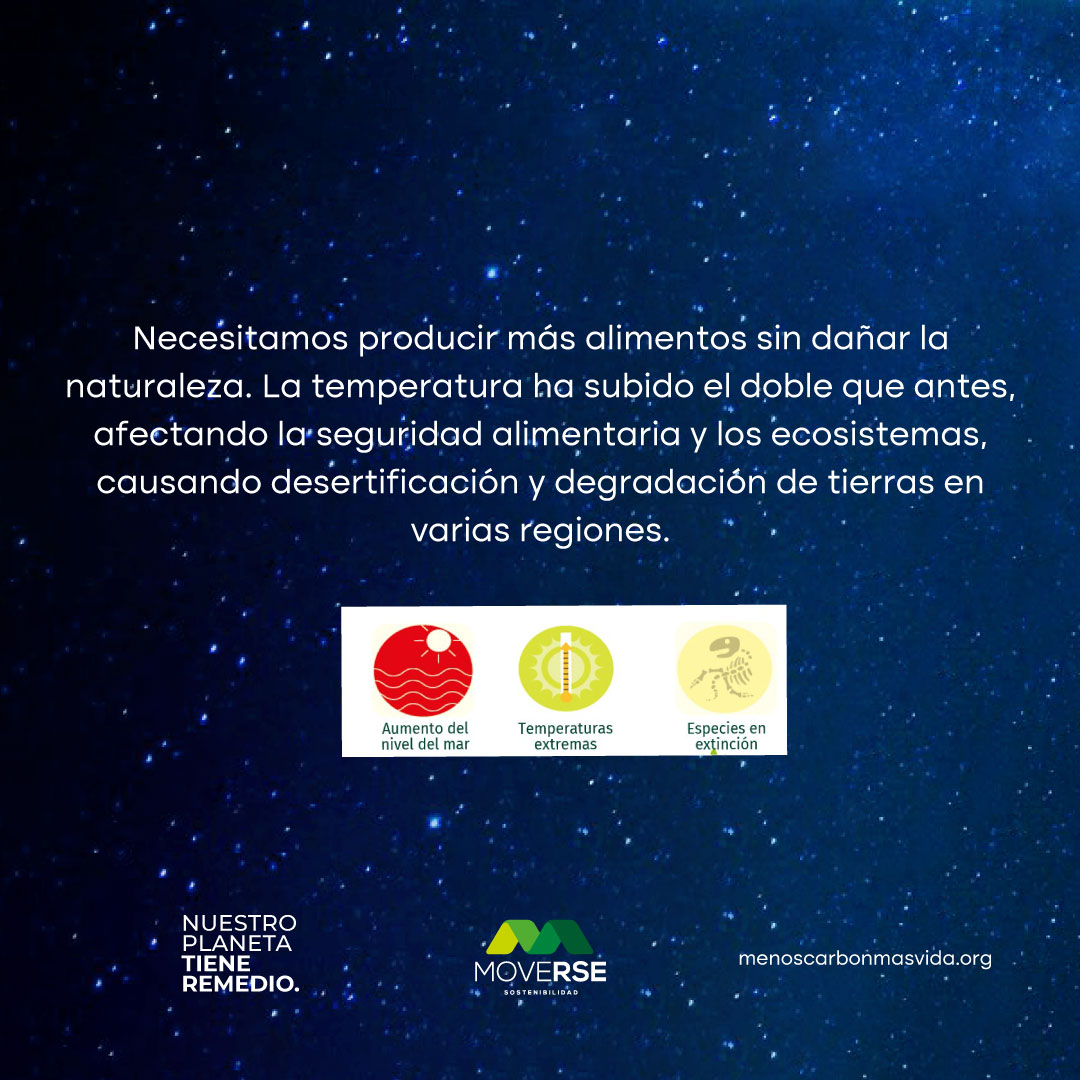 MoveRSEorg's tweet image. En MoveRSE, creemos en la responsabilidad y el poder del cambio. Juntos, podemos reducir la huella de carbono y proteger nuestro planeta🌱

🤝 Informate más en nuestra Guía por la descarbonización ingresando a menoscarbonmasvida.org 

#campaña #comunidadmoverse #sociasmoverse