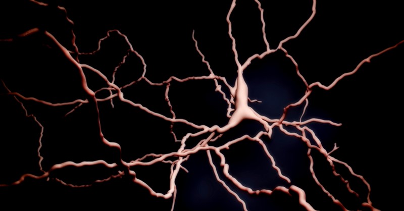 FrontiersIn's tweet photo. Parkinson's disease (PD) is a complex neurodegenerative disorder. A better understanding of PD could lead to more effective therapeutic interventions and improved patient outcomes.

Read our trending articles on Parkinson's disease ⬇