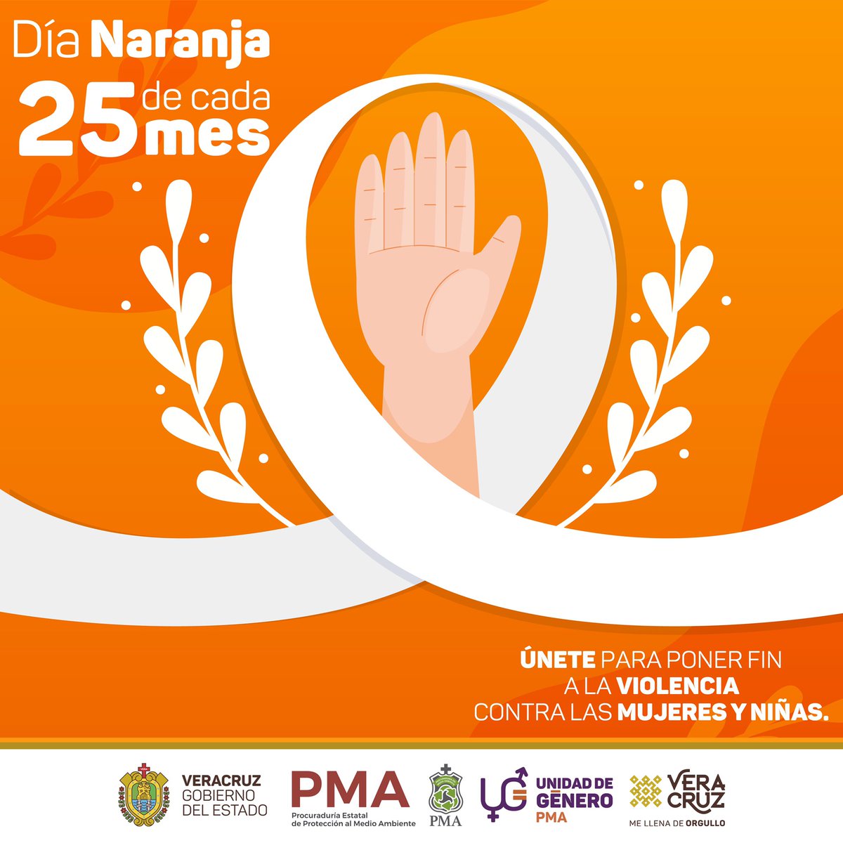 PMA Veracruz tweet media