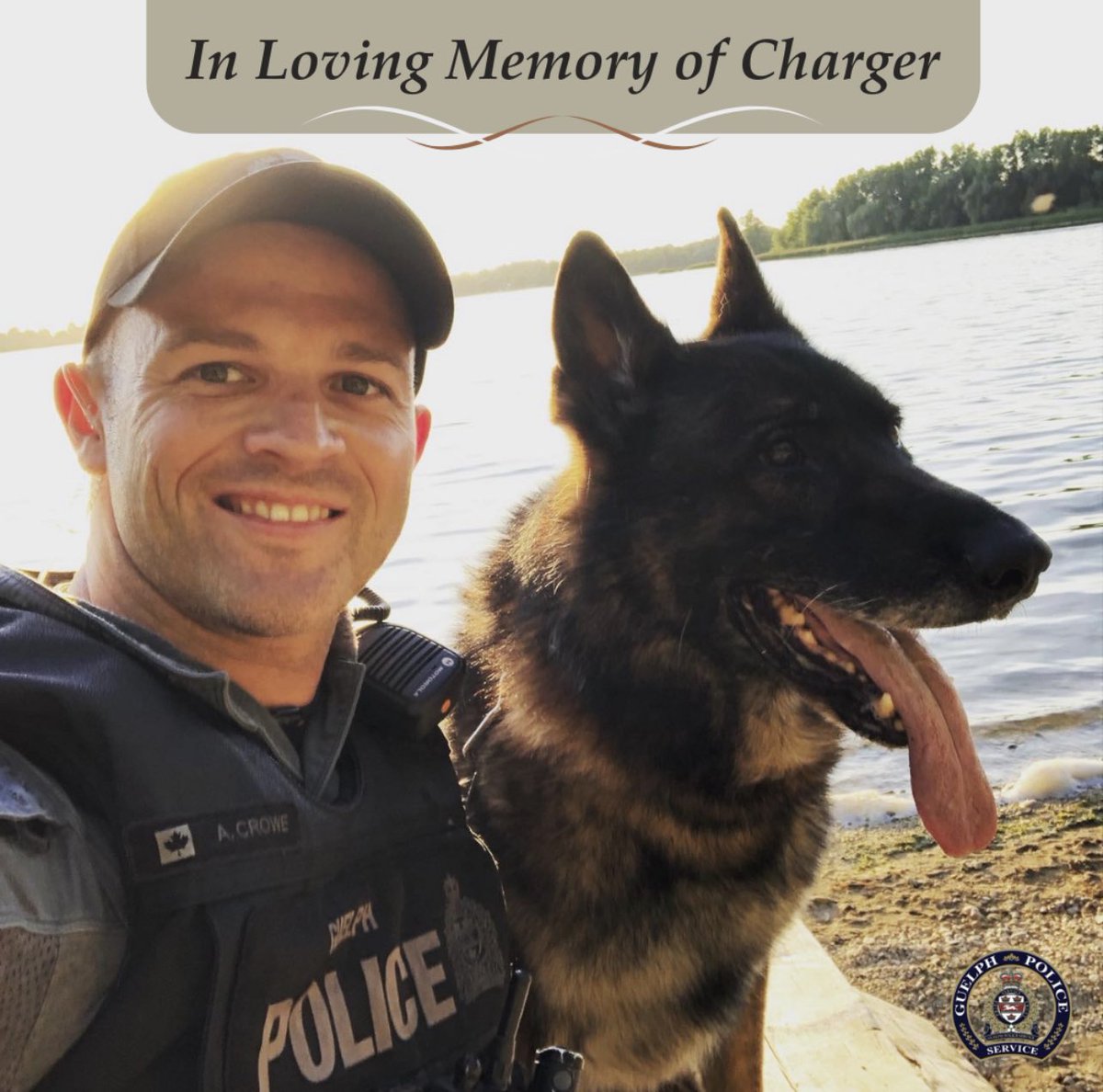 We are saddened to announce the passing of retired Police Service Dog Charger. Together with his partner Sergeant Andrew Crowe, Charger served the community from 2011 until his retirement in 2020. Our condolences to Sgt. Crowe, his family and those who worked with Charger.
