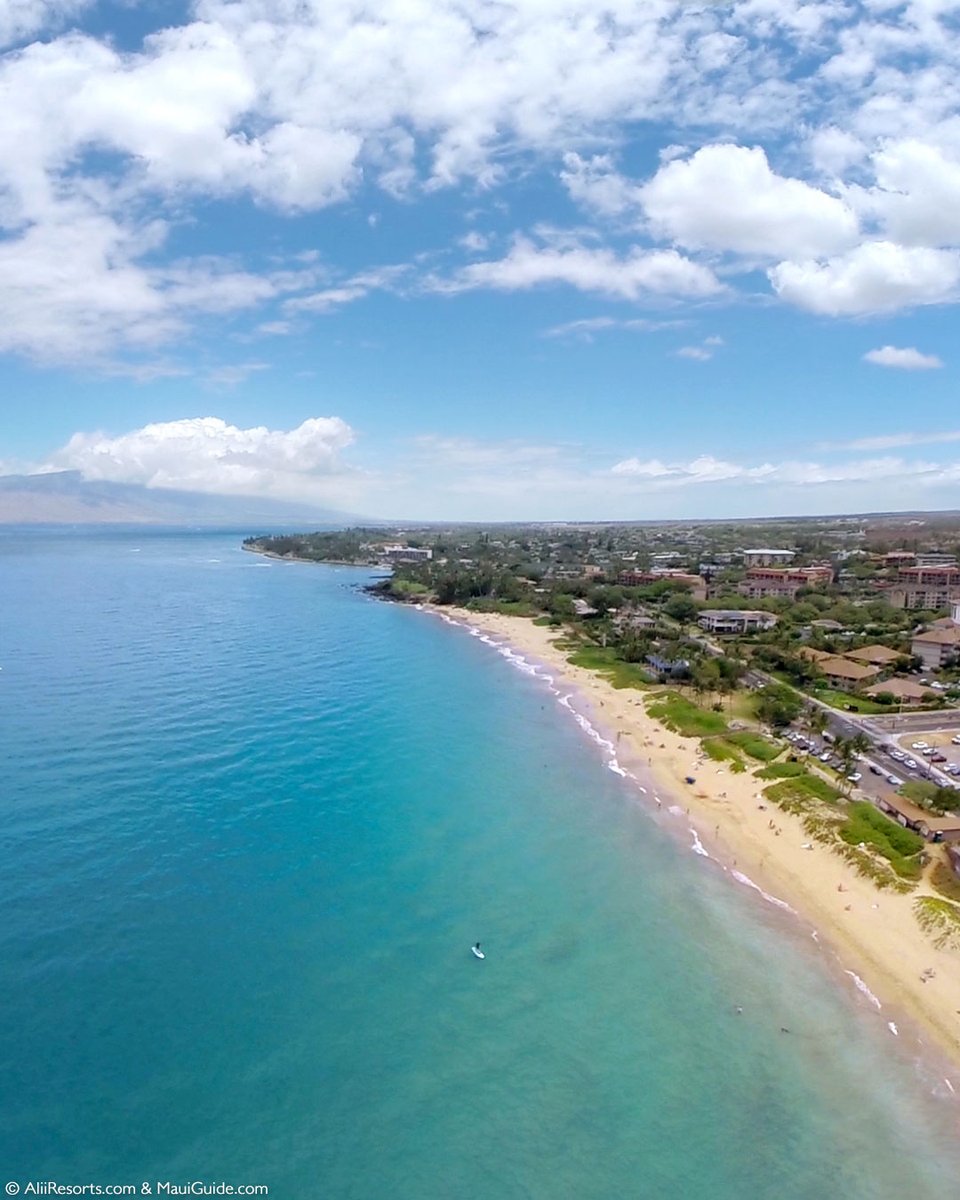 Kama’ole Beach Park 1 in #Kihei is a must-visit destination for beachgoers. Charley Young Beach, located at the north end of Kam I, is perfect for a family outing. With restaurants and parking just steps away, it's incredibly accessible.

#charleyyoung #mauibeaches
