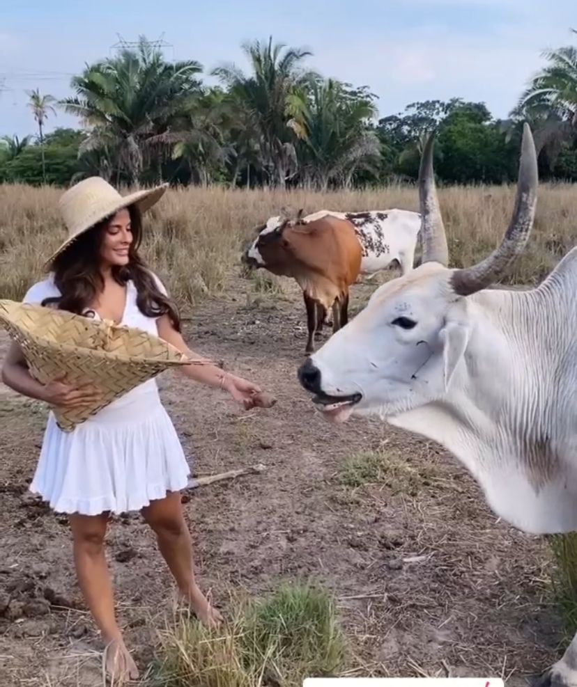 Karynsilvaofic's tweet photo. O que acham da Diva @Gyselle_Soares na fazenda?💋
Eu já estou é pronta tio @rocarelli
#fazenda
#gyselle
#GyNaFazenda https://t.co/OQBTswSqq8