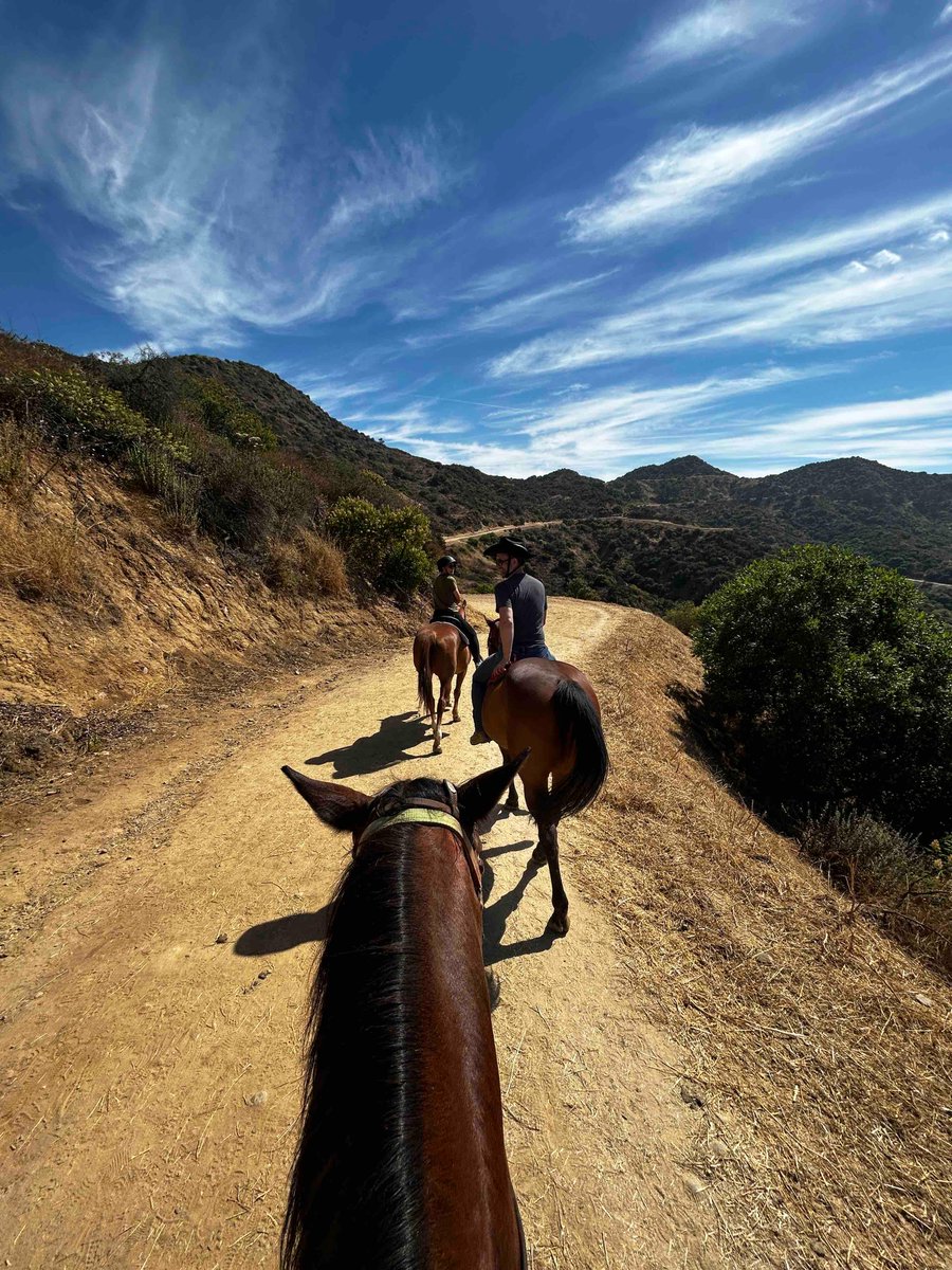 SunsetRanchLA's tweet image. Happy Tuesday y’all we are ready to ride #sunsetranchhollywood #hollywood #summer2023