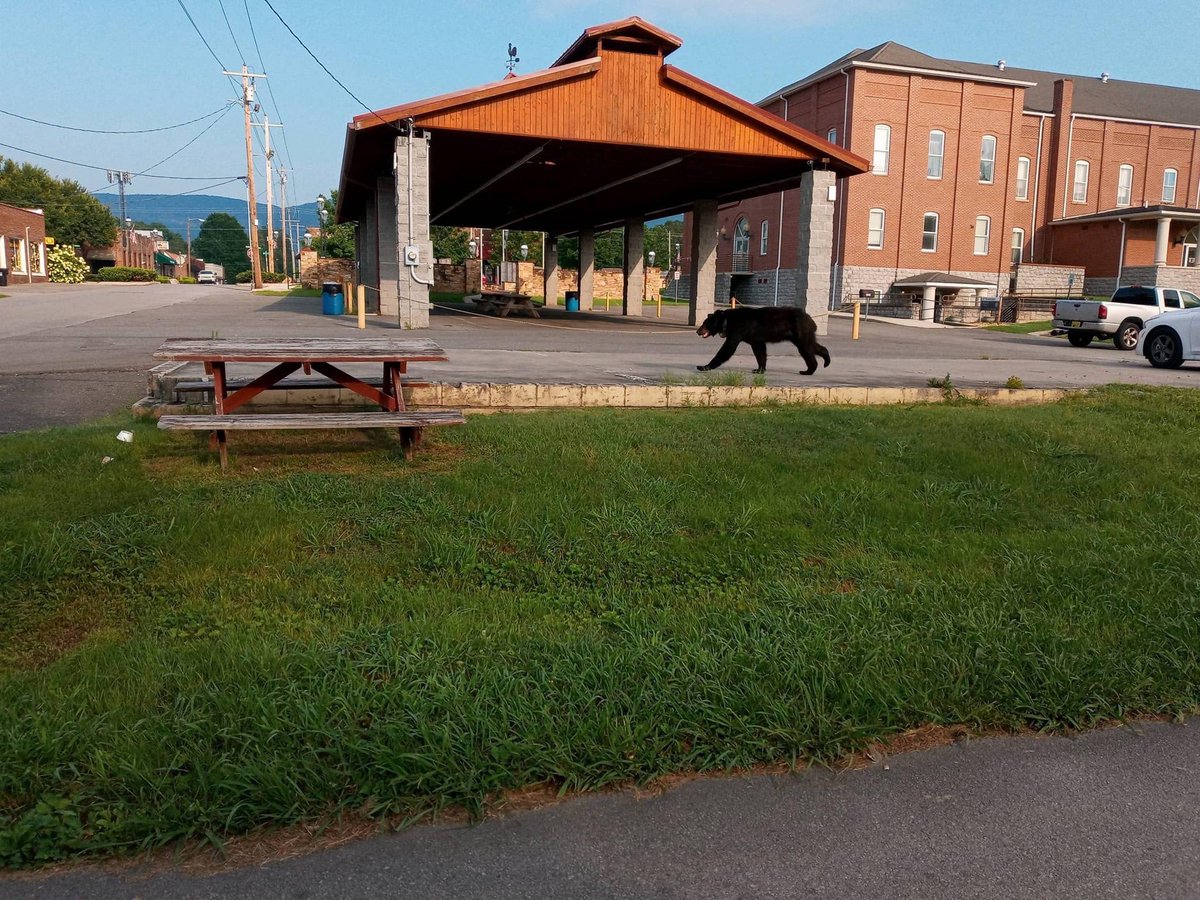 Judge Justin Angel tweet media