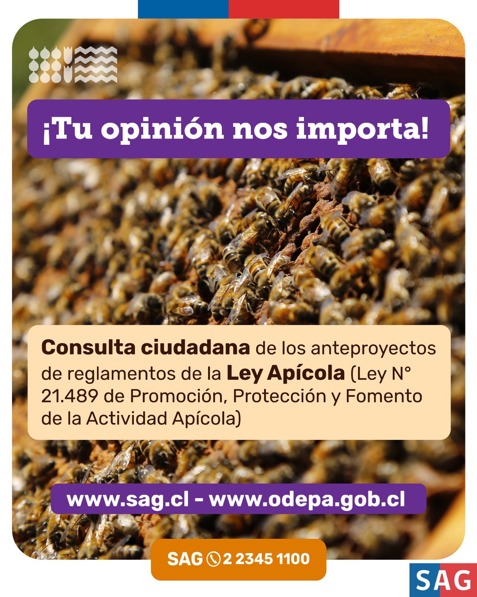 ODEPA tweet media