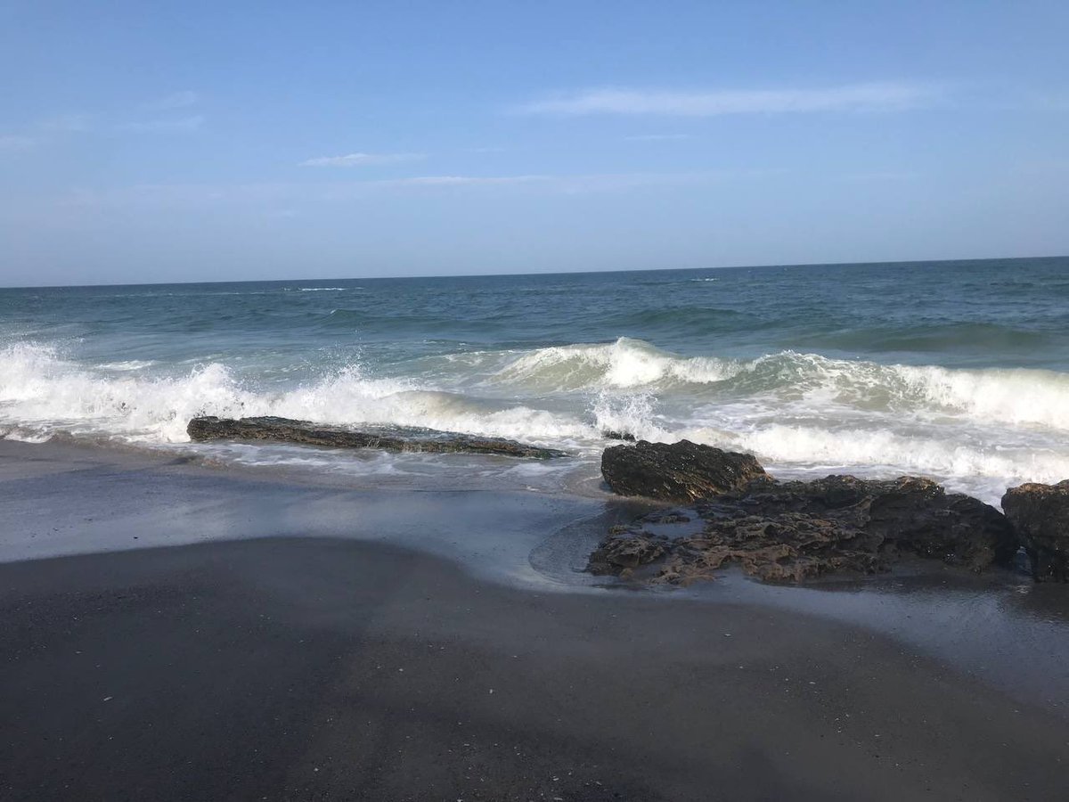 Margarita Simonyan tweet media