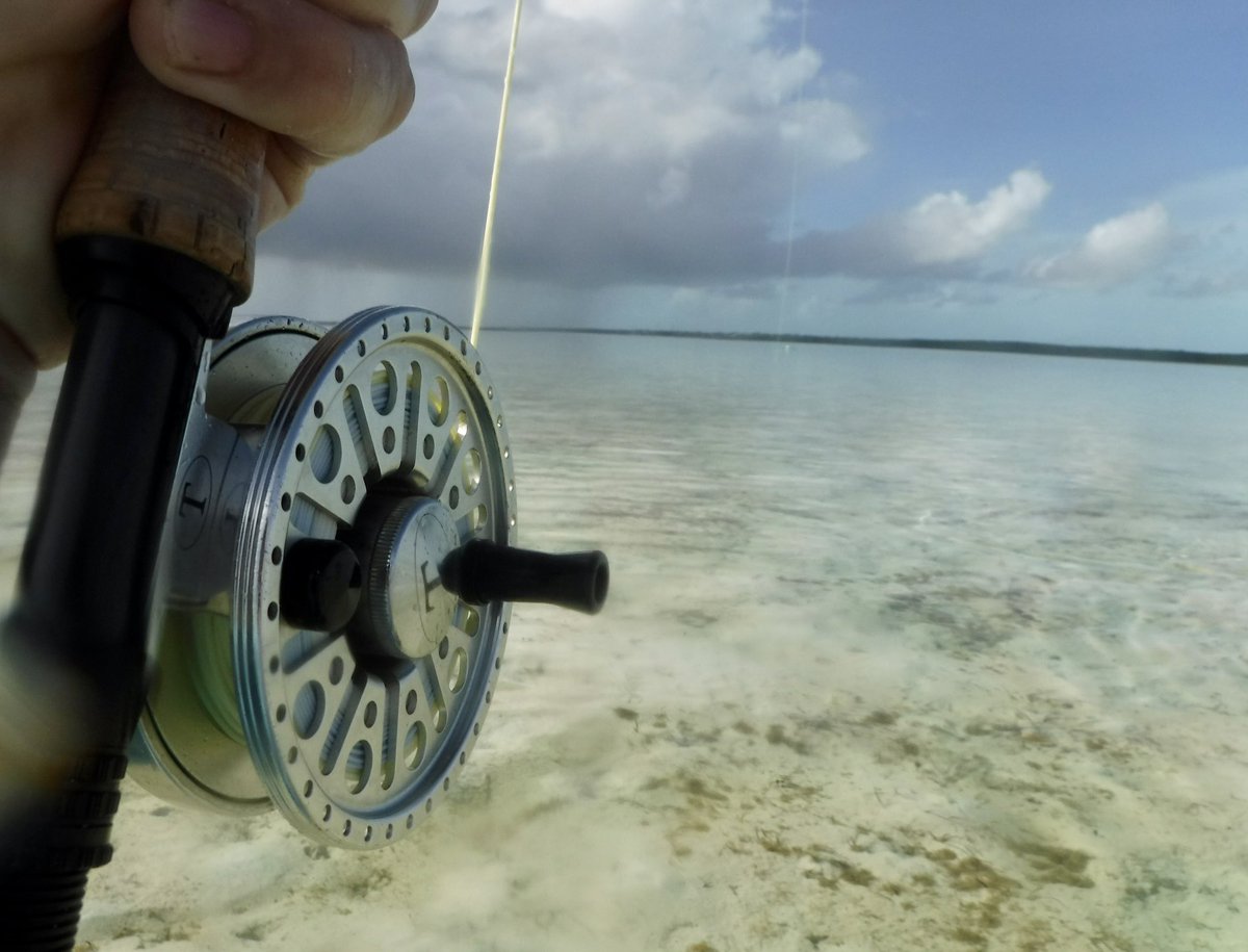 BonefishBananas's tweet photo. Good to see many schools of bonefish back in Bottle Creek - the fly fishing once again first class! https://t.co/g8iGoZEAs3