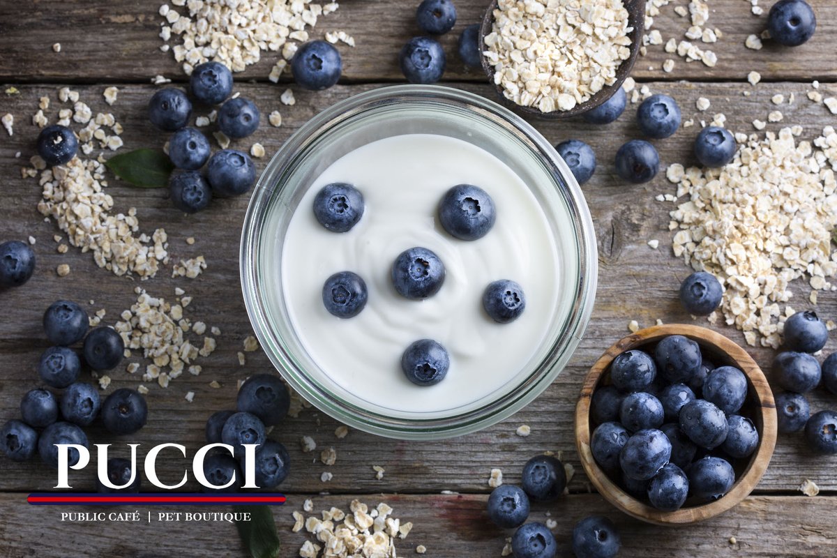 puccicafe's tweet photo. CHOBANI YOGURT: flavor choices of blueberry or strawberry with granola at PUCCI Cafe.  https://t.co/8E8tN4ziTC

#puccicafe #lacenterra #pucci #cafepucci #lacenterradogs #lacenterraatcincoranch https://t.co/lXj9MVGduO