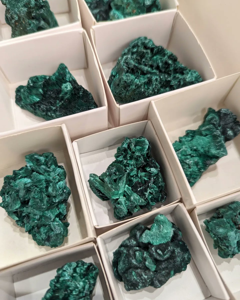 CrystalLifeTech's tweet photo. New crystal babies! We just got these in, so you can see them at the store, they're not on our website yet.
Stop by &amp; say hello, we're open until 5pm.
#malachite #manifestation #clearenergy #goals #grounding #crystals #crystallife #crystallifetechnology #genevail #genevaillinois https://t.co/Nyma6YaVrm