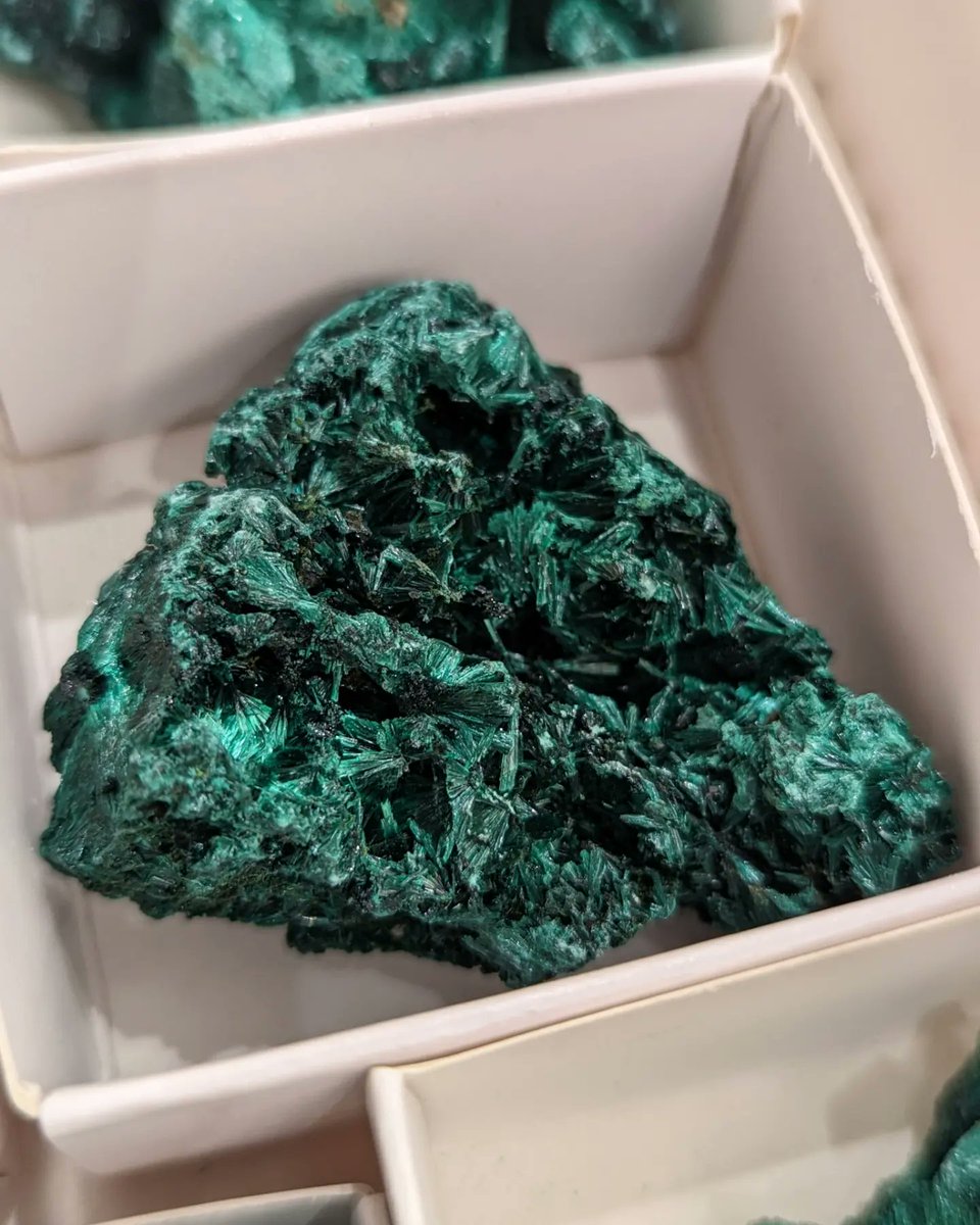 CrystalLifeTech's tweet photo. New crystal babies! We just got these in, so you can see them at the store, they're not on our website yet.
Stop by &amp; say hello, we're open until 5pm.
#malachite #manifestation #clearenergy #goals #grounding #crystals #crystallife #crystallifetechnology #genevail #genevaillinois https://t.co/Nyma6YaVrm