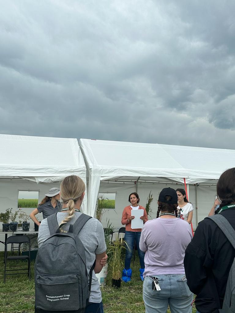 SaskWheat's tweet photo. First stop of the day at Crop Diagnostic School in Indian Head is the disease station! 

Randy Kutcher presented about FHB and @ConstanzaFleit talked about bacterial leaf streak! https://t.co/X1An0I9WLr