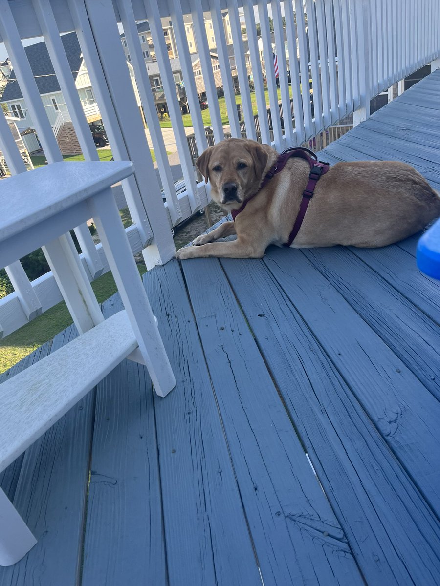 Beach days 🌊☀️🏖️