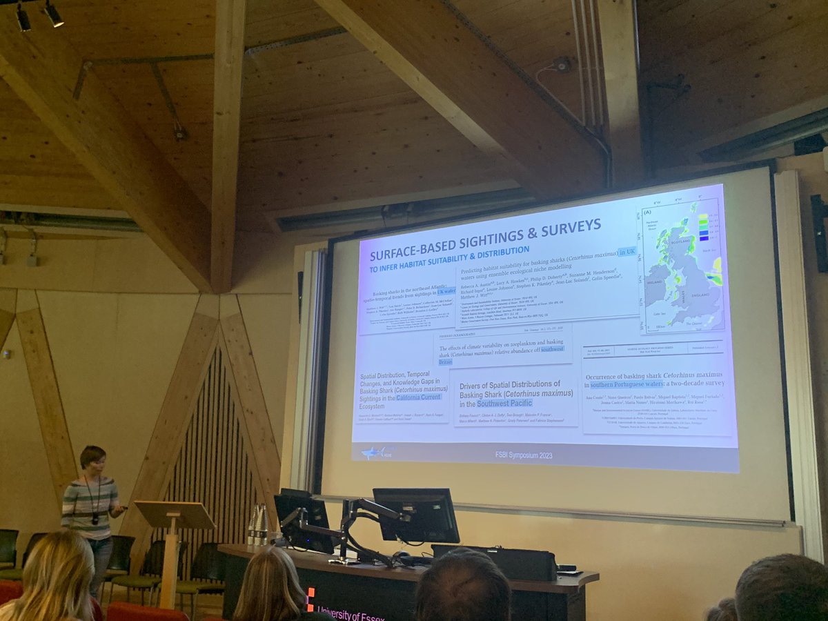 Antonia Klocker finds different thermal niche for Basking shark in Norway vs UK, and / because (?) spending a lot of time at depth #FSBI2023 @fsbi2023 @TheFSBI