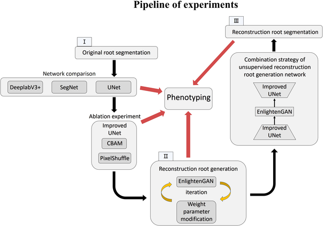 #ResearchArticle
Application of Improved UNet and EnglightenGAN for Segmentation and Reconstruction of In Situ Roots
🔗spj.science.org/doi/10.34133/p…
#PlantPhenomics #PlantPhenotyping