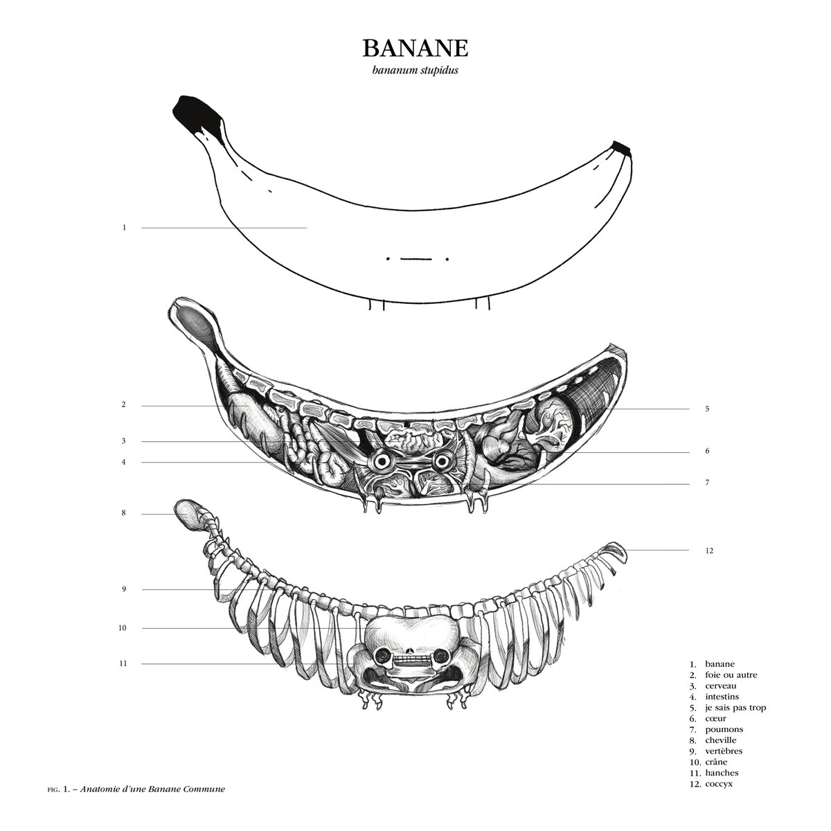 banane