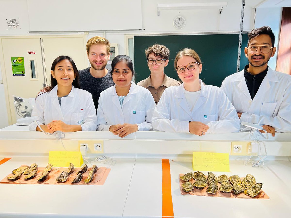 AquaStudents's tweet photo. #Scholarship news 🐟

Applications to our two-year ACES-STAR #aquaculture Master's, Sept 2023 start, close Fri 4th August, 2023. Plus, we have a number of @Erasmus_Mundus partial scholarships available to cover tuition fees and insurance.  Please contact aces@sams.ac.uk. https://t.co/PBJsIfj8B3