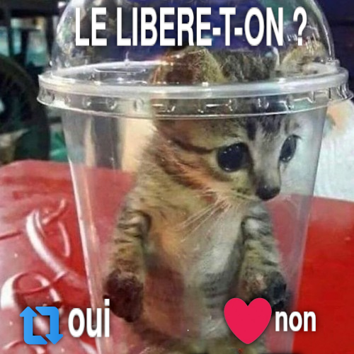 flustres's tweet photo. la chague 😭😭😭😭😭😭😭😭😭😭😭😭 https://t.co/fLnGAiSD1j