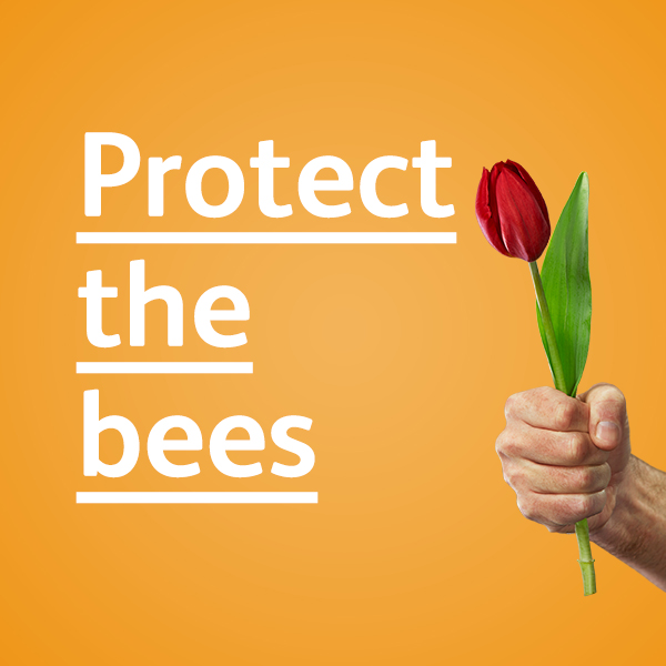 Chrysal Benelux tweet media