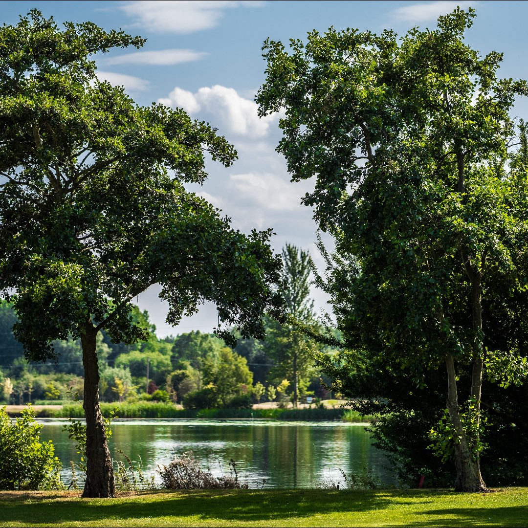 wl_resort's tweet photo. π³ "The best time to plant a tree was 20 years ago. The second best time is now." β Chinese Proverb
ππΌ https://t.co/38uYTZ9ayT
π· by Maciek Platek
#eventprofs #events #meetings #venue #eventvenue #eventindustry #eventprofsUK #meetingprofs #Room2Grow https://t.co/9axUp014sS
