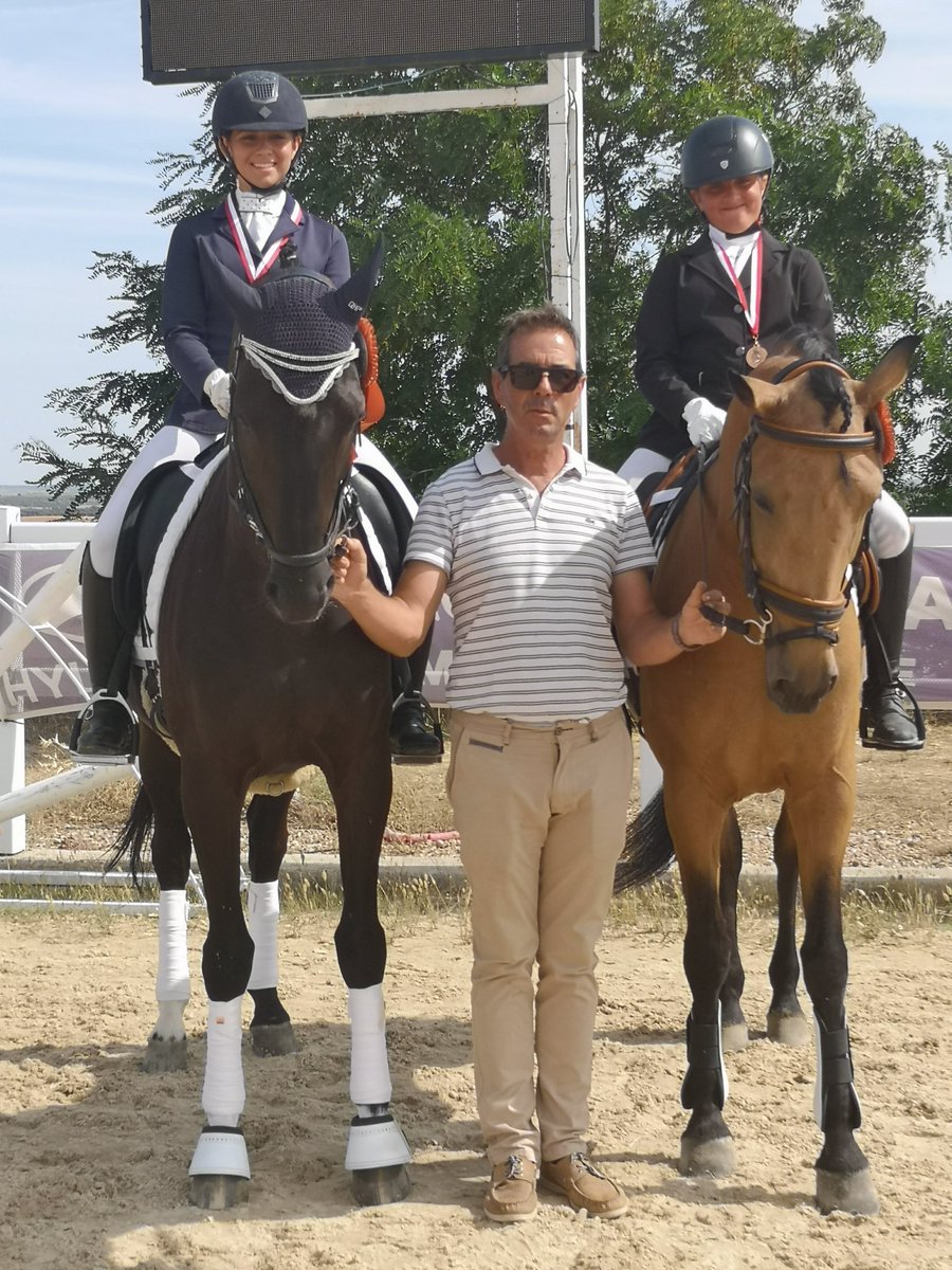 de_elias's tweet photo. #dressage #doma https://t.co/cHJ7jXi5Gf
