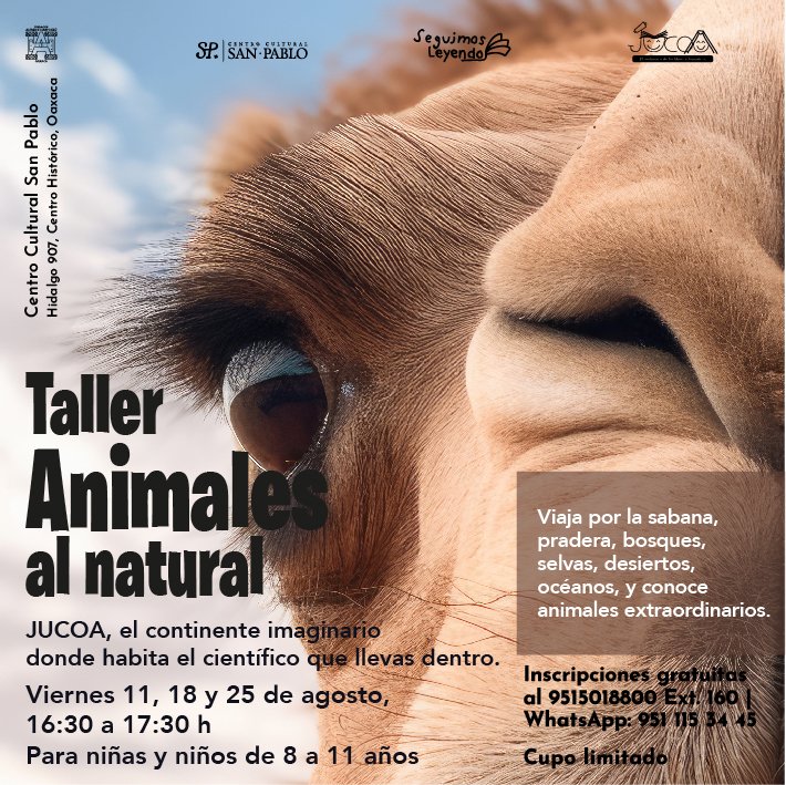 Seguimosleyendo's tweet photo. Ya puedes inscribirte a "JUCOA El continente de los libros informativos. Taller dirigido a niños de 8 a 11 años de edad. Inscripciones: 9515018800 ext. 160 #divulgacioncientifica #JUCOA @FundacionAHHO @Seguimosleyendo @fahho_sanpablo Cultural San Pablo https://t.co/zUeLL147ZI