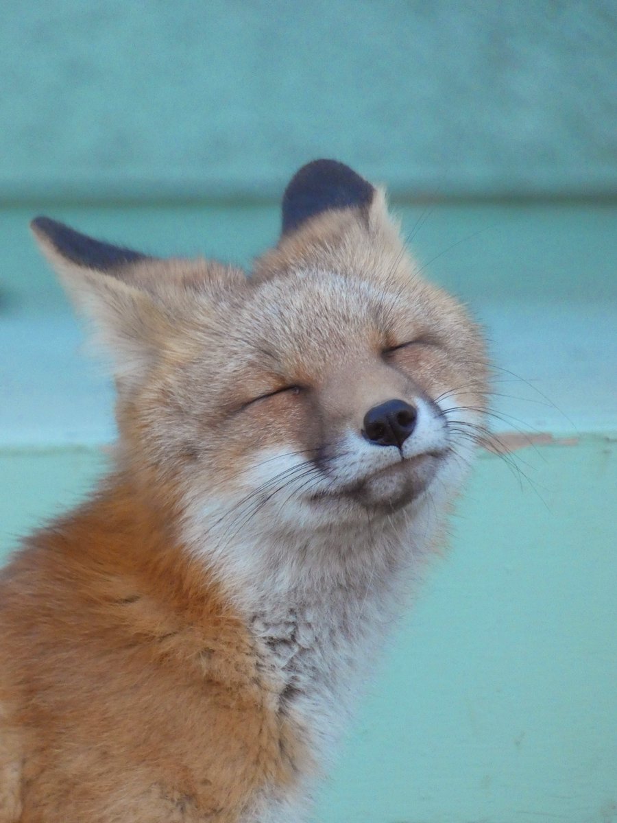 Get your photos into The Fishladder summer photo contest.
Categories : Yukon Play and Yukon Wild
Submit to: fishladderphotocontest@gmail.com
by July 31st at noon
Visit the Fishladder August 1 - 7th to cast your vote!! 
Winners Announced August 8th
(past entry)