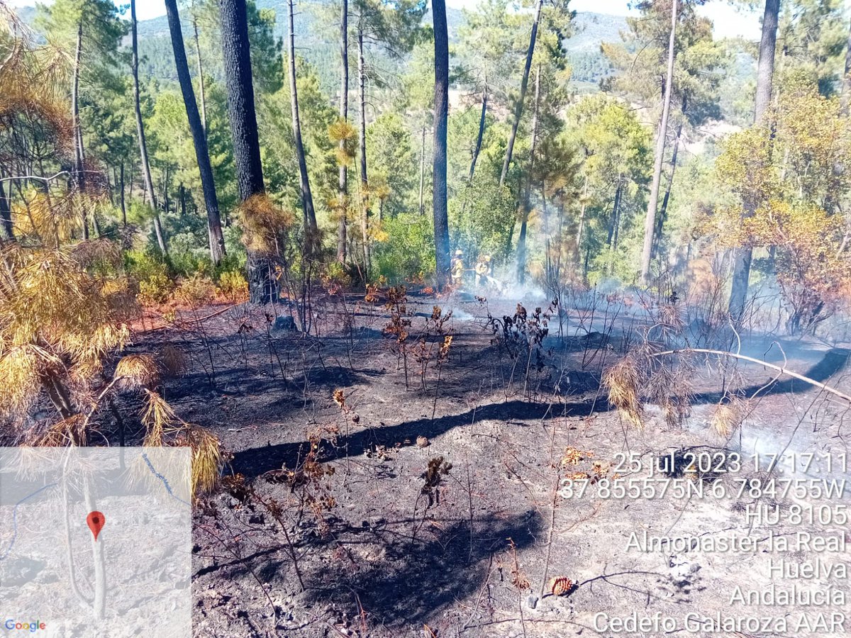Plan_INFOCA's tweet photo. 🔴 #IFAlmonasterLaReal, ACTIVO.
Ya en tierra, el trabajo de los compañeros se centra en cortar la progresión del incendio. Avanzan en el establecimiento de líneas de control, y rematando los puntos calientes que hay dentro del perímetro. https://t.co/OvmtE1o4Cm