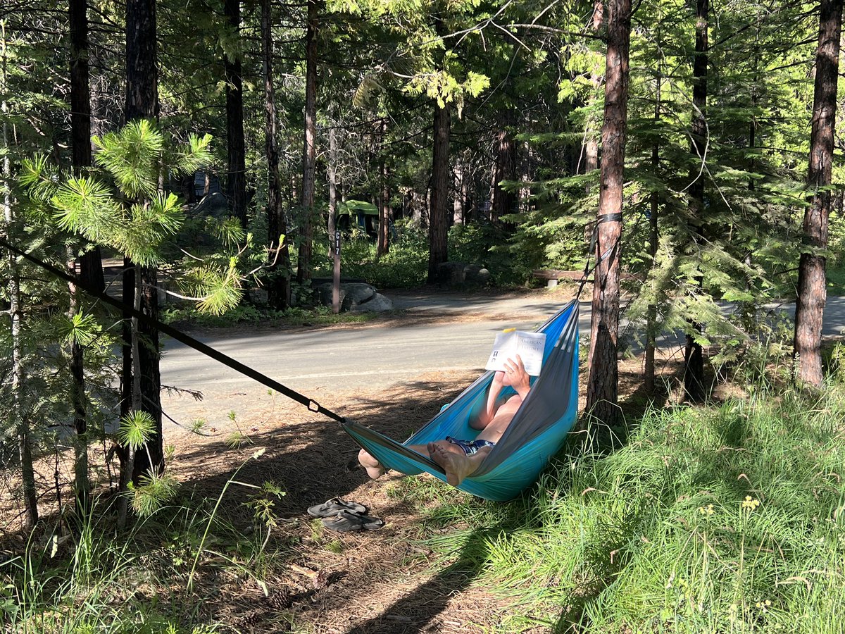 Erica Shaw tweet media