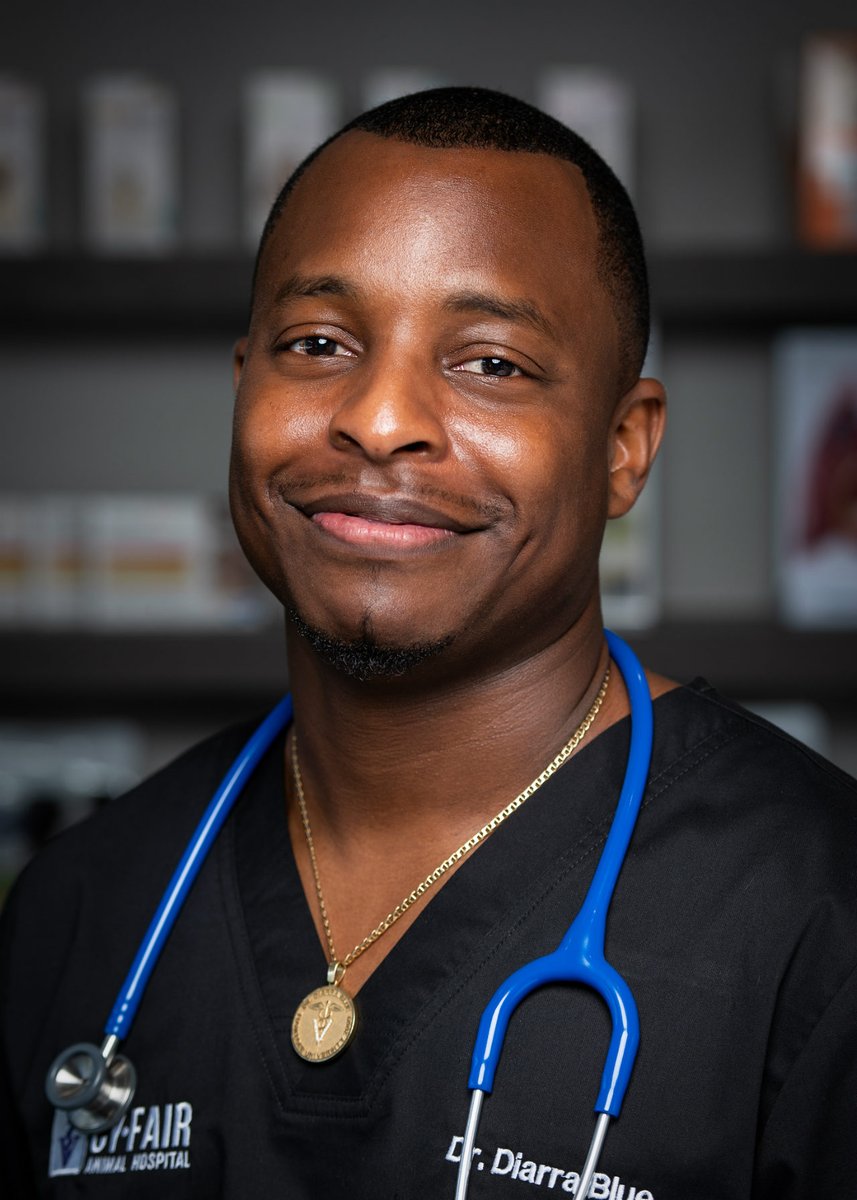 Ask the Vet! Today, Veterinarian Dr. Diarra Blue of @CyFairAH and @AnimalPlanet's 'The Vet Life' joins @ErnieOnTV to discuss summer pet safety & pet health. Plus, he'll answer your pet questions. #JoinTheConversation ☎️ 888-486-9677