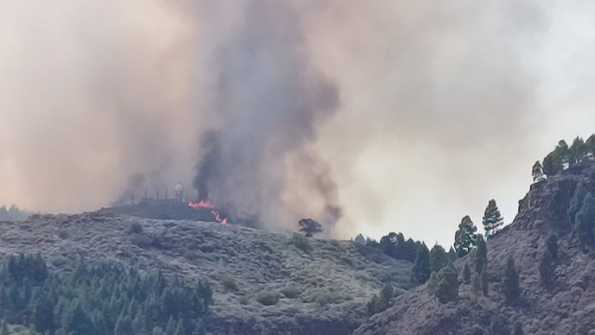 FClavijoBatlle's tweet photo. 🔴 Muy pendiente de la evolución del incendio declarado en #Tejeda y de las labores de extinción. Máxima coordinación entre instituciones y mi confianza en los efectivos terrestres y aéreos que ya trabajan en la zona. Precaución y atención a los canales oficiales. 

#IFTejeda https://t.co/Q5IpNk37xo