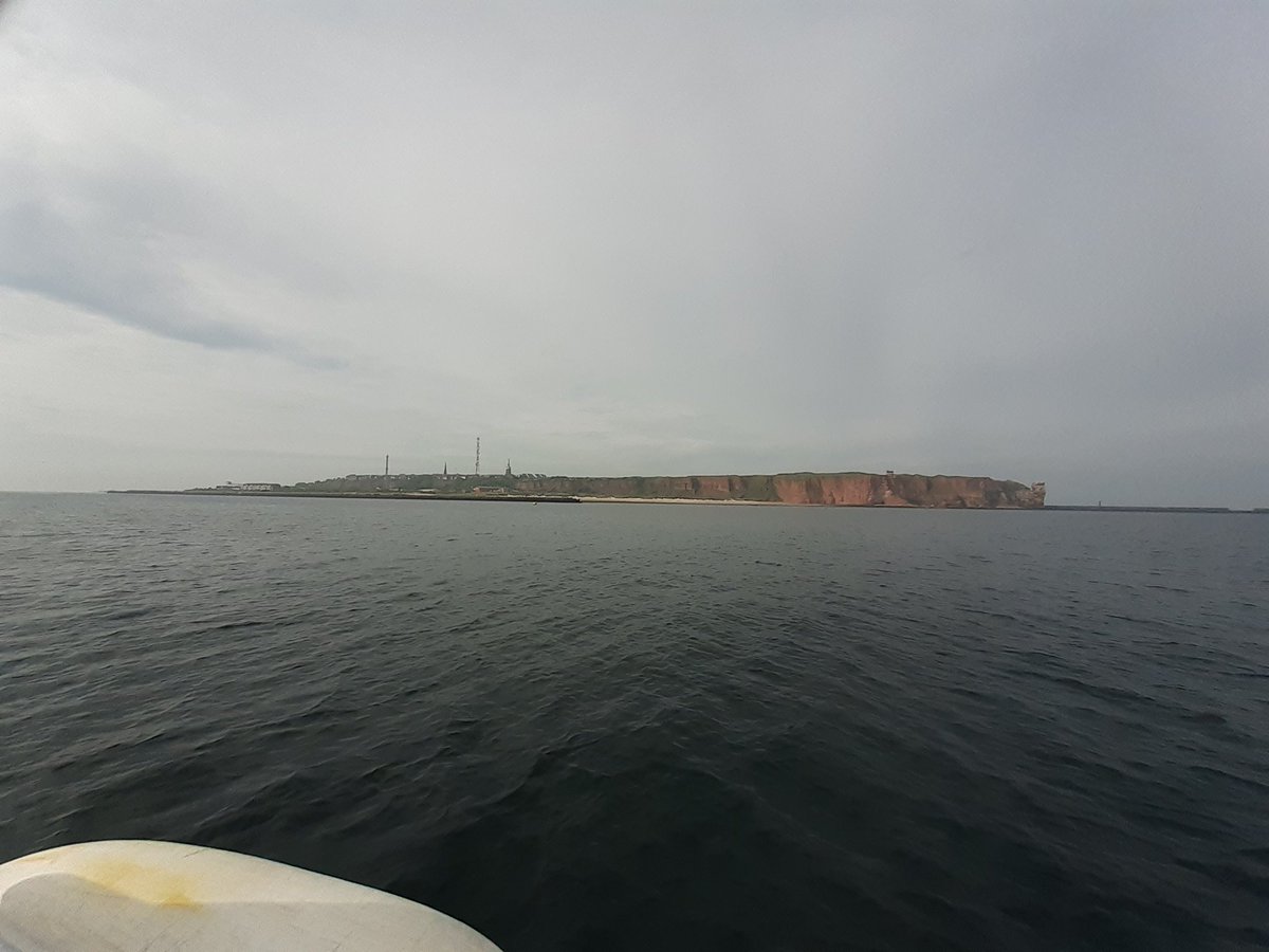 Sebastian Primpke tweet media