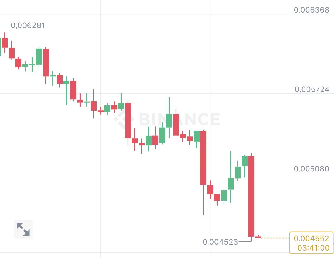 ROΞCKS ᵍᵐ tweet media