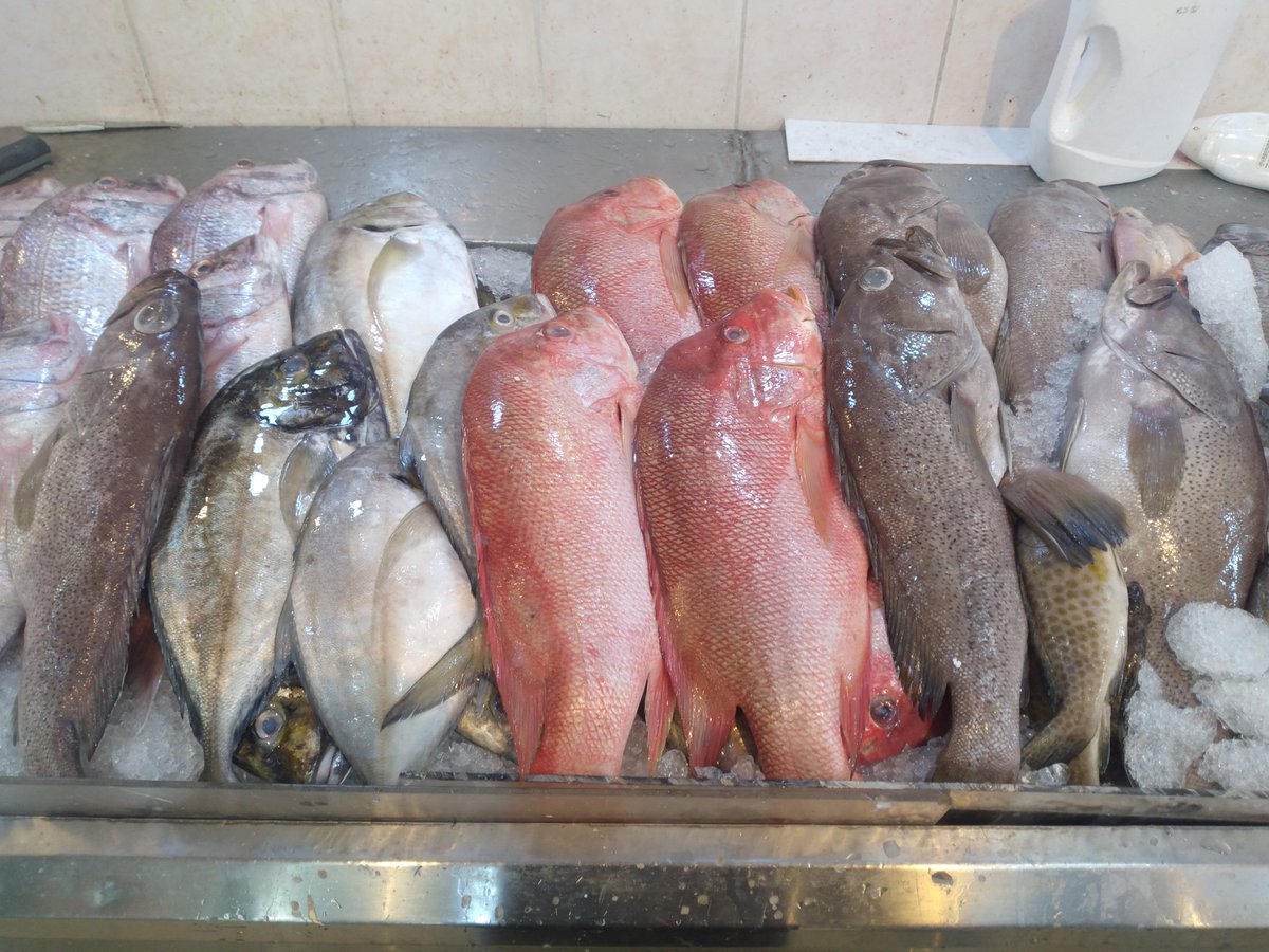 عبدالناصر المهدالي (@badilhisab7425) on Twitter photo 